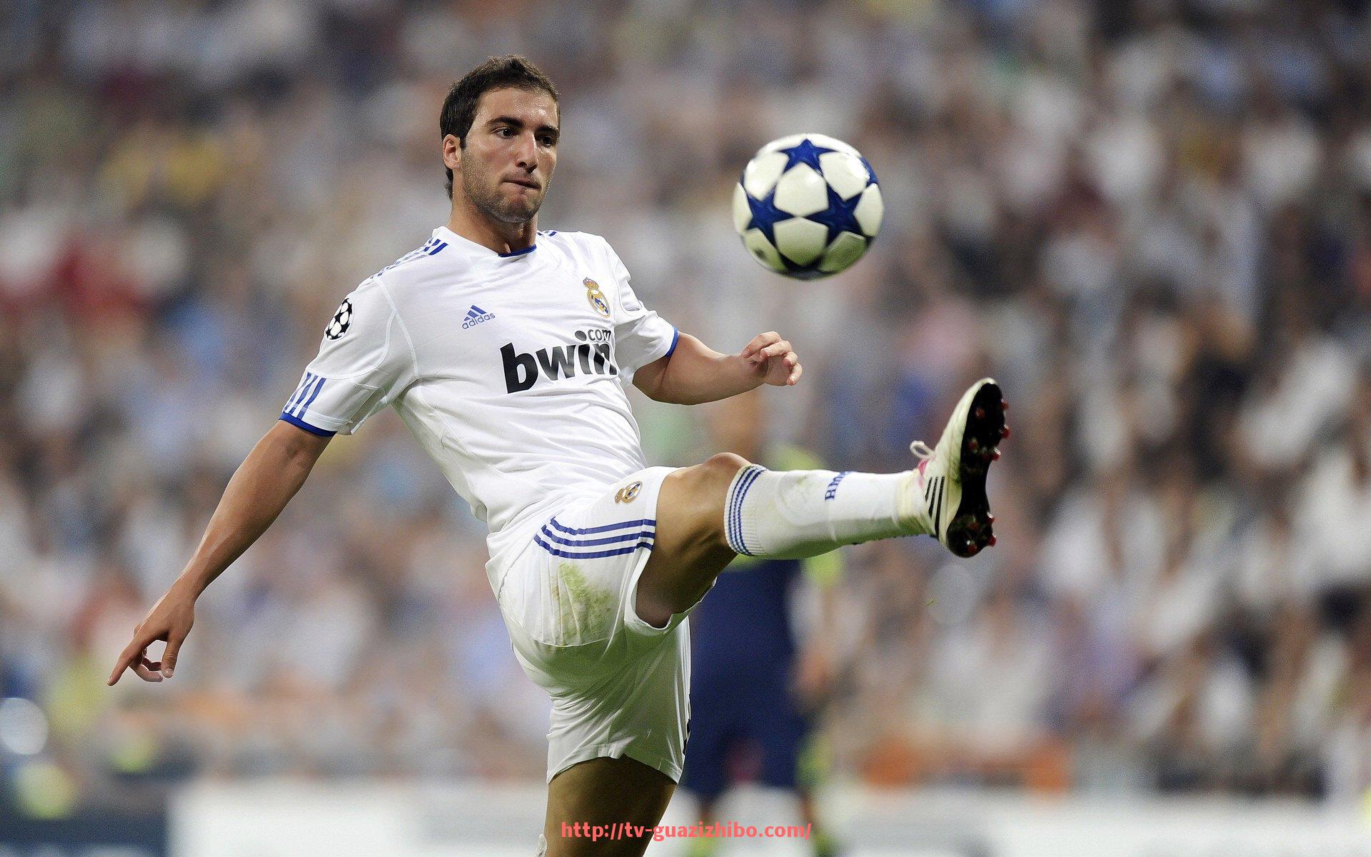 瓜子直播-世俱杯赛场安全保障措施及风险防范体系介绍