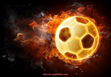 瓜子直播-世俱杯转播版权费用变化及媒体影响力对比