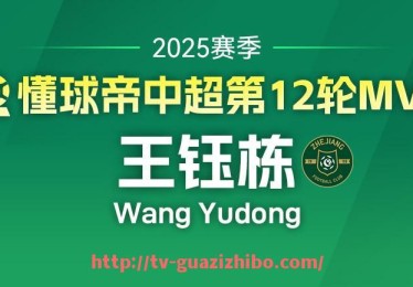 瓜子直播-2017年中超联赛江苏苏宁足球队体育表现分析