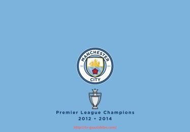 瓜子直播-世俱杯球队体能对比数据体现不同球队竞技状态差异