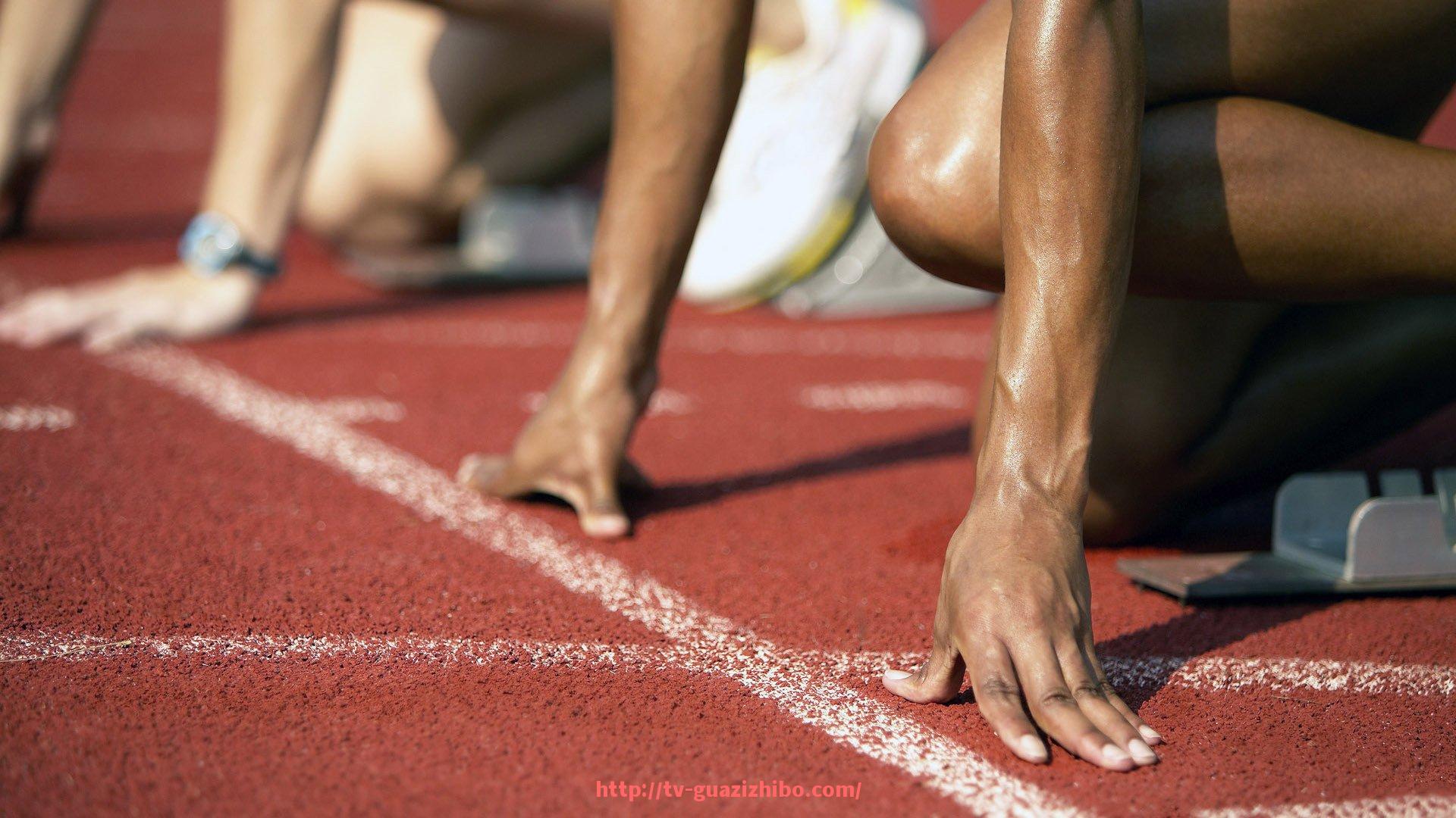 瓜子直播-健身器材压铃：压铃器材的使用技巧与锻炼效果